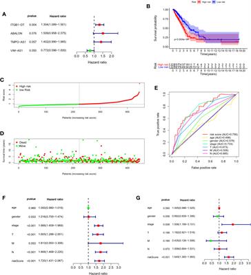  An Immune-Related lncRNA Expression Profile to Improve Prognosis Prediction for Lung Adenocarcinoma: From Bioinformatics to Clinical Word